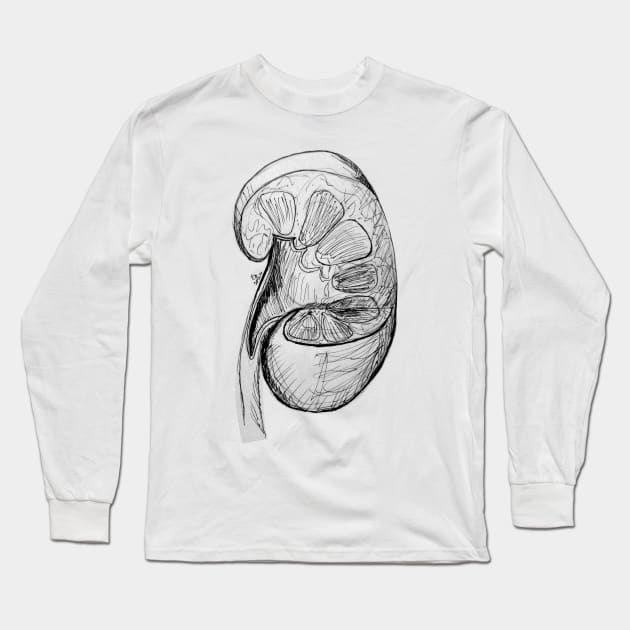 Pen and Ink Kidney Illustration/Sketch Long Sleeve T-Shirt by emadamsinc